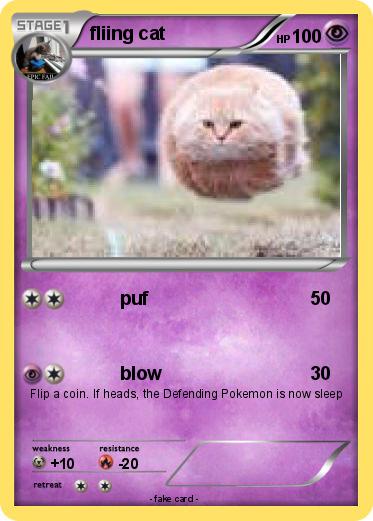 Pokemon fliing cat