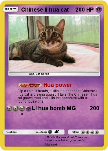 Pokemon Chinese li hua cat