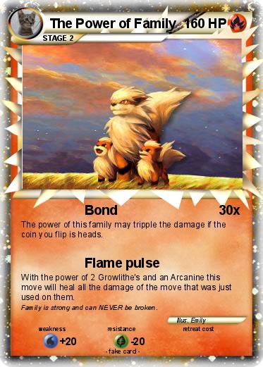 Pokemon The Power of Family