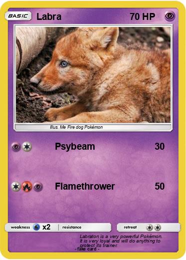 Pokemon Labra