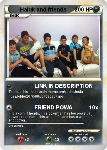 Pokemon Haluk and friends