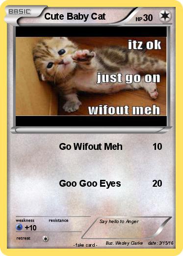Pokemon Cute Baby Cat