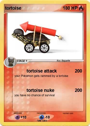 Pokemon tortoise
