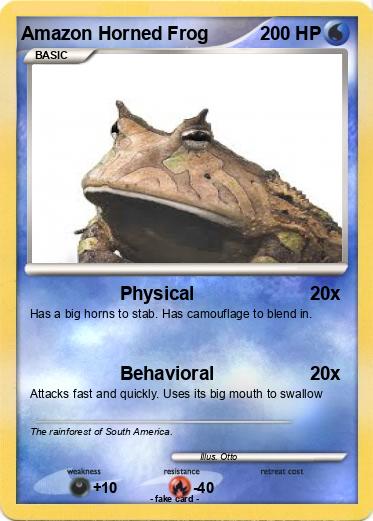 Pokemon Amazon Horned Frog