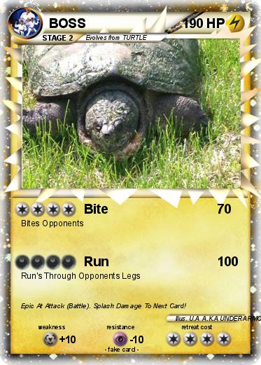 Pokemon BOSS