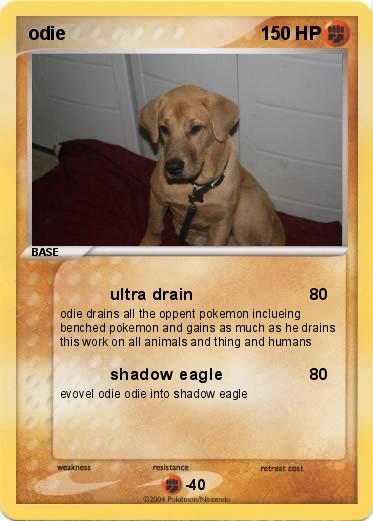 Pokemon odie