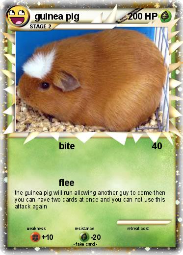 Pokemon guinea pig