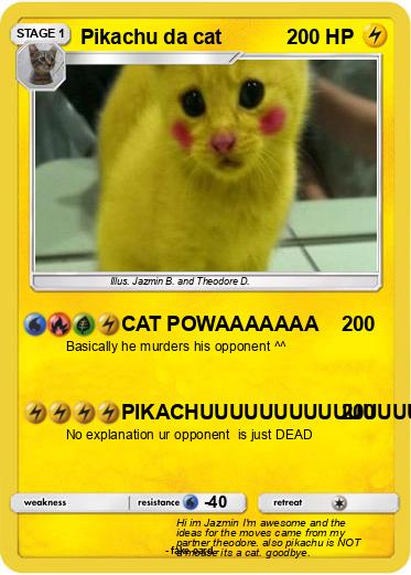 Pokemon Pikachu da cat