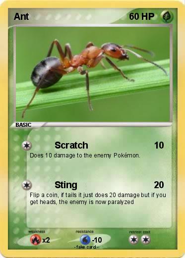 Pokemon Ant