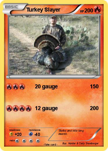 Pokemon Turkey Slayer