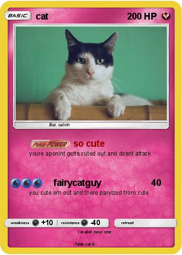 Pokemon cat