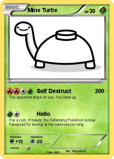 Pokemon Mine Turtle