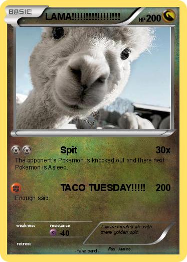Pokemon LAMA!!!!!!!!!!!!!!!!!