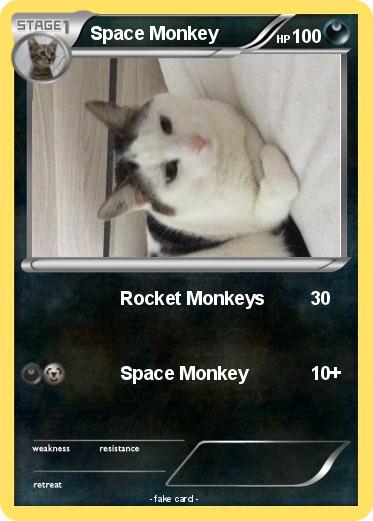 Pokemon Space Monkey
