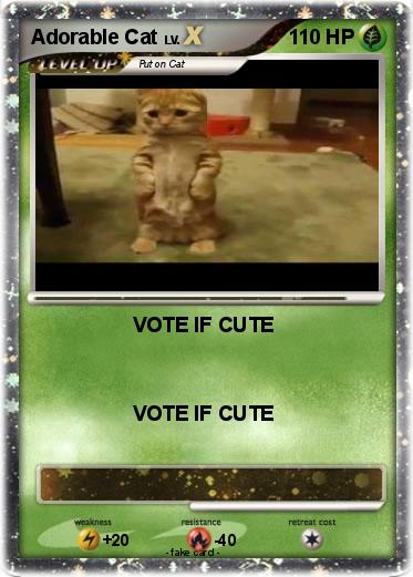 Pokemon Adorable Cat