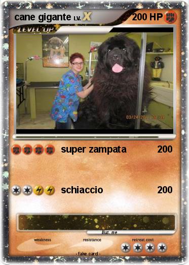 Pokemon cane gigante