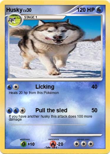 Pokemon Husky