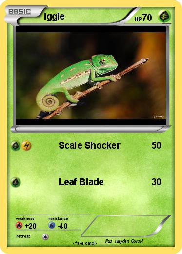 Pokemon Iggle