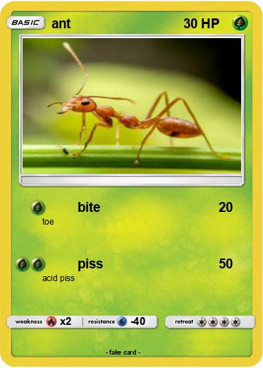 Pokemon ant