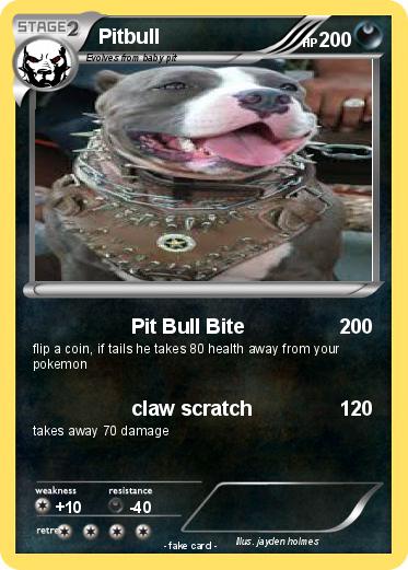 Pokemon Pitbull