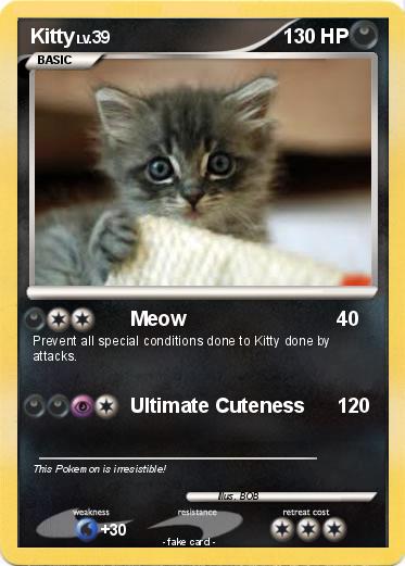 Pokemon Kitty