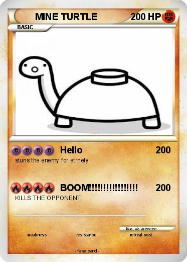 Pokemon MINE TURTLE