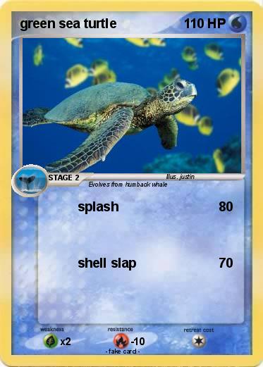 Pokemon green sea turtle