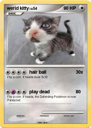 Pokemon werid kitty