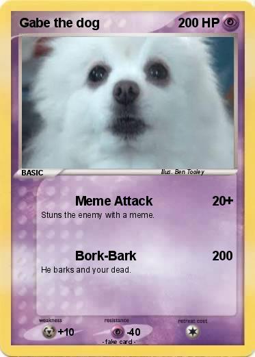Pokemon Gabe the dog