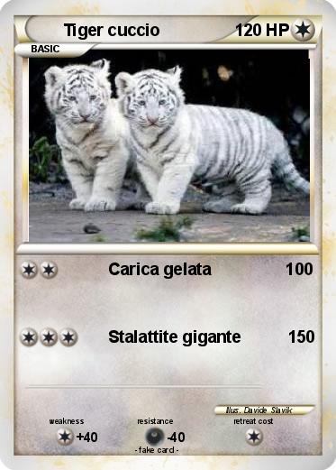 Pokemon Tiger cuccio