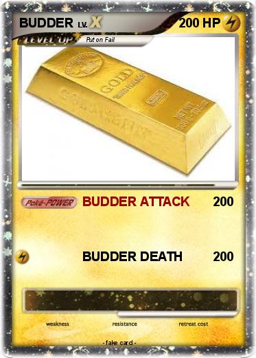 Pokemon BUDDER