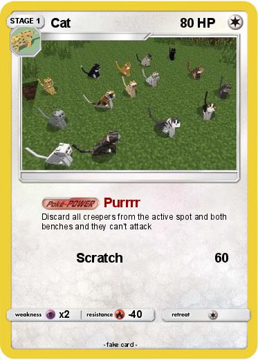 Pokemon Cat