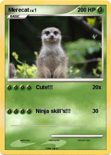 Pokemon Merecat