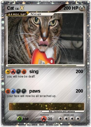 Pokemon Cat