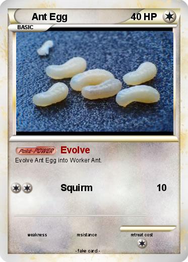 Pokemon Ant Egg