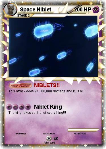 Pokemon Space Niblet