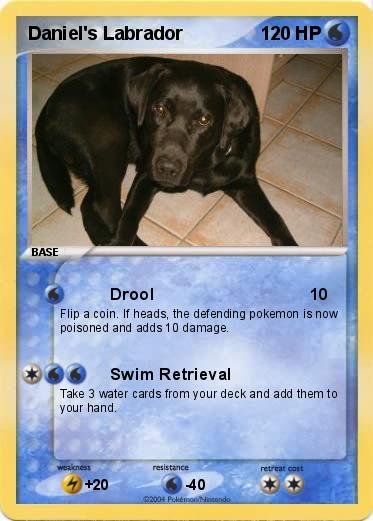Pokemon Daniel's Labrador