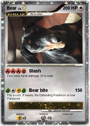 Pokemon Bear