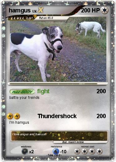 Pokemon hamgus