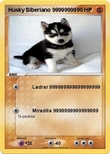 Pokemon Husky Siberiano 99999999