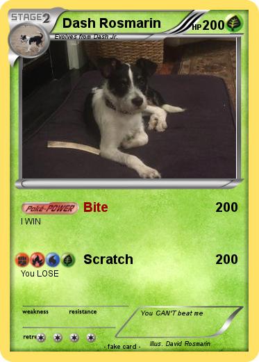 Pokemon Dash Rosmarin