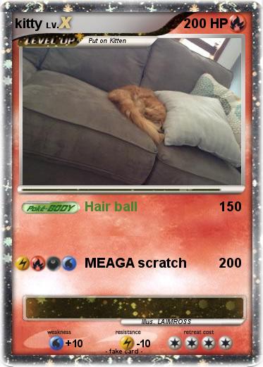 Pokemon kitty