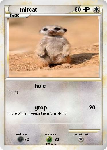 Pokemon mircat