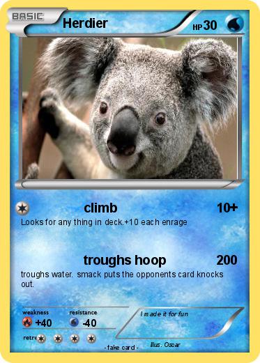 Pokemon Herdier