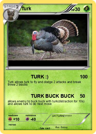 Pokemon Turk