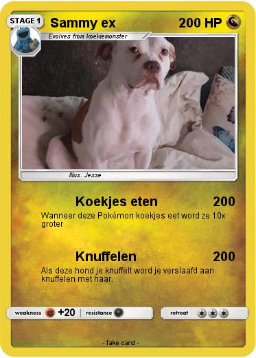 Pokemon Sammy ex