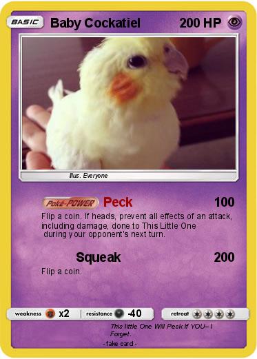 Pokemon Baby Cockatiel