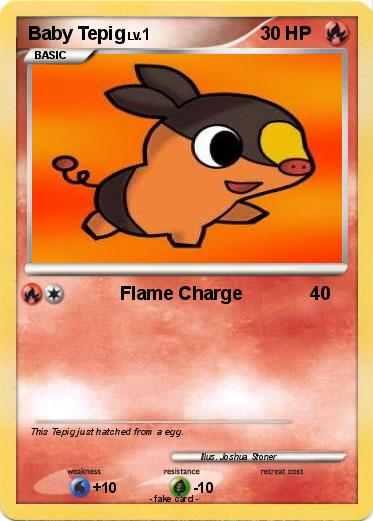 Pokemon Baby Tepig