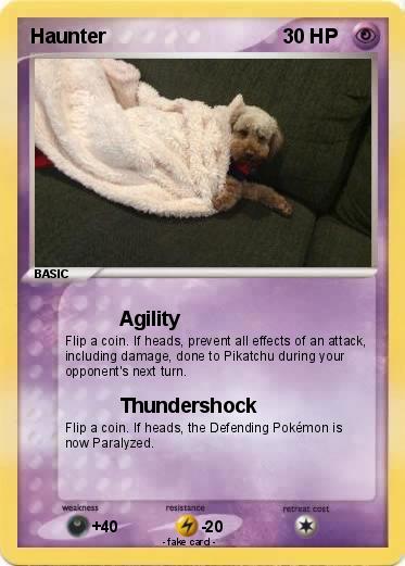 Pokemon Haunter