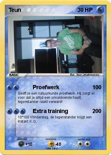 Pokemon Teun